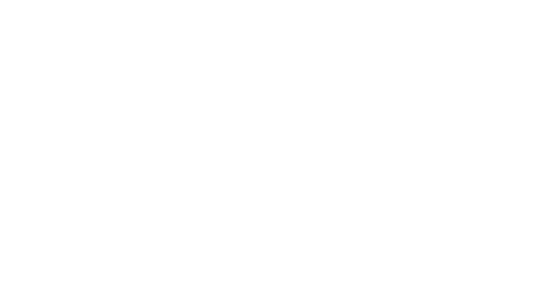 A Place In Space Logo